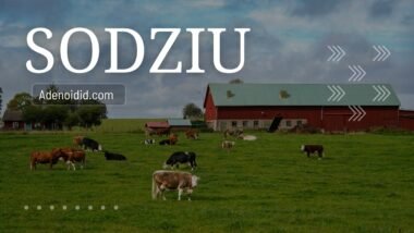 Sodziu