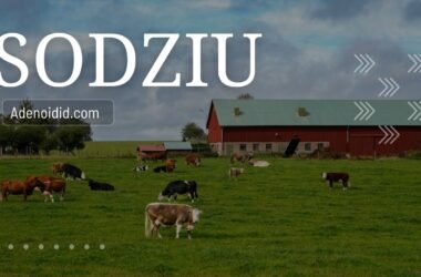Sodziu