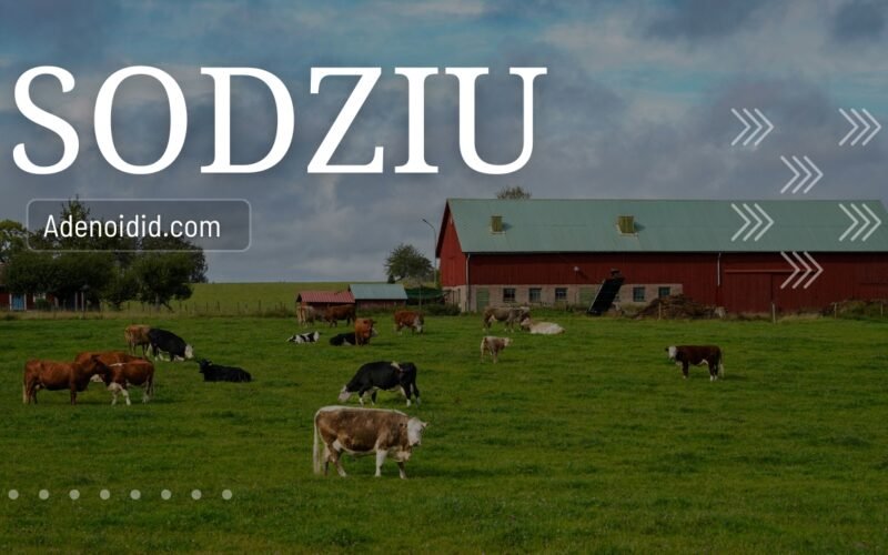 Sodziu