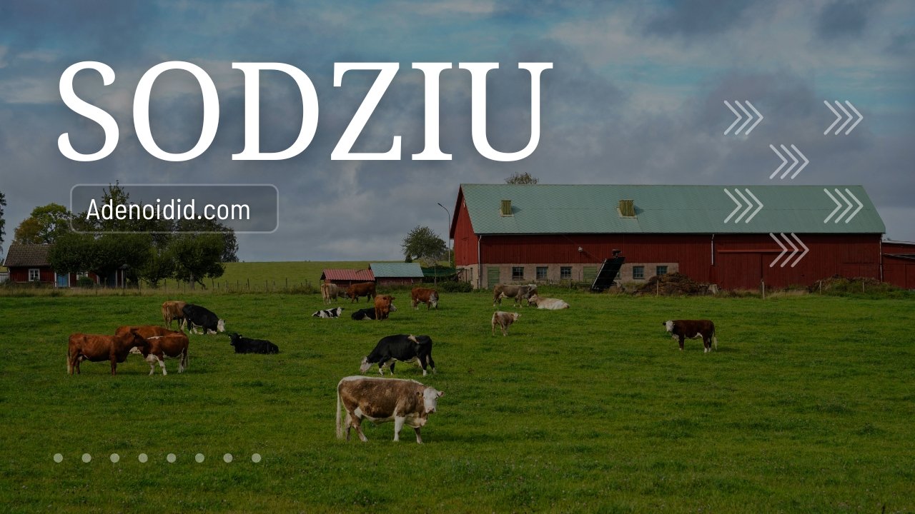 Sodziu